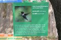 Kids_DFWzoo_3-2016 (25)